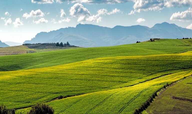 field